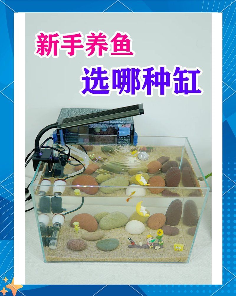 如何判斷龍魚缸的材質？，如何判斷龍魚缸材質 如何判斷龍魚缸的材質？，如何判斷龍魚缸材質 龍魚百科 第6張