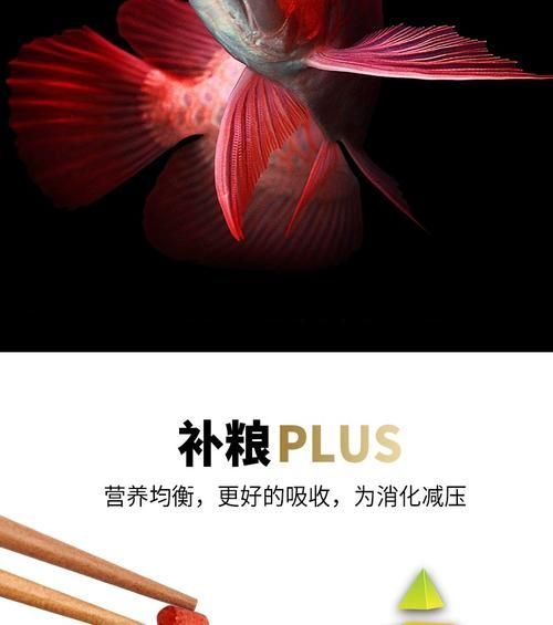 海豚龍魚飼料有哪些型號推薦？，海豚龍魚飼料型號 海豚龍魚飼料有哪些型號推薦？，海豚龍魚飼料型號 龍魚百科 第8張