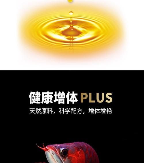 海豚龍魚飼料有哪些型號推薦？，海豚龍魚飼料型號 海豚龍魚飼料有哪些型號推薦？，海豚龍魚飼料型號 龍魚百科 第10張