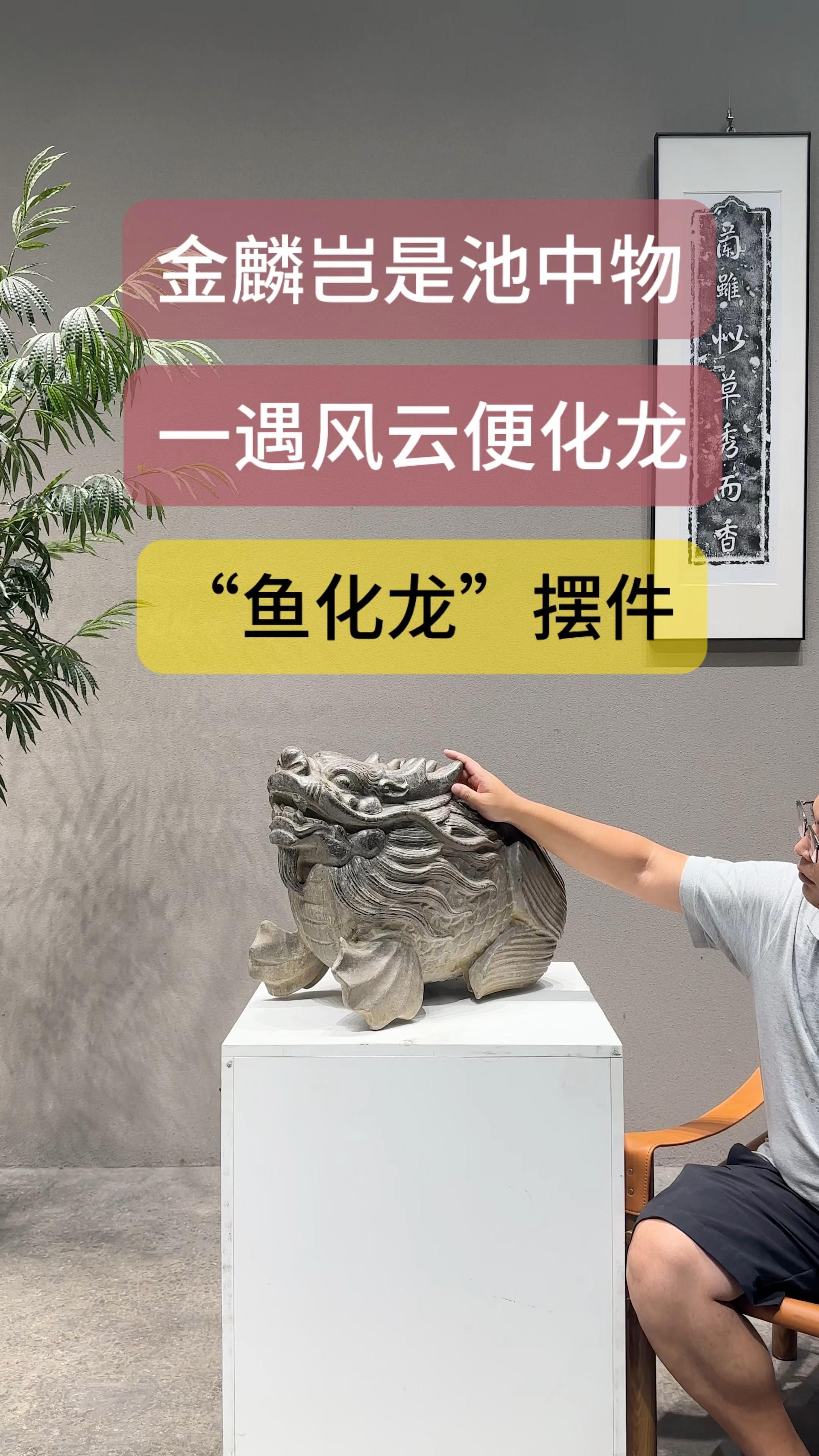 魚化龍有哪些風水禁忌，關于魚化龍的風水禁忌 魚化龍有哪些風水禁忌，關于魚化龍的風水禁忌 龍魚百科