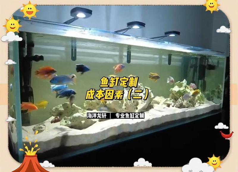 大型魚缸定做價格一般是多少？ 大型魚缸定做價格一般是多少？ 龍魚百科 第1張