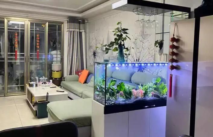5條龍魚的最佳擺放位置,5條龍魚的擺放位置 龍魚百科 第18張 5條龍魚的最佳擺放位置,5條龍魚的擺放位置 5條龍魚的最佳擺放位置,5條龍魚的擺放位置 龍魚百科 第18張