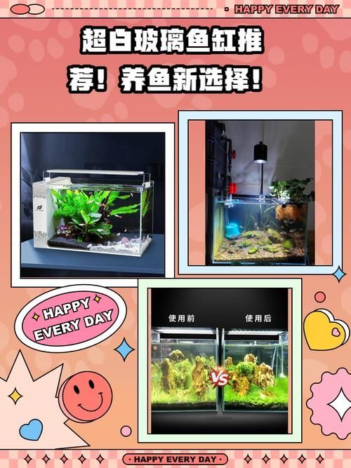 如何判斷魚缸的性價比？ 如何判斷魚缸的性價比？ 龍魚百科 第3張