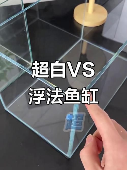 如何判斷魚缸的性價比？ 如何判斷魚缸的性價比？ 龍魚百科 第4張