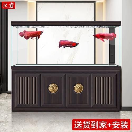 漢霸龍魚缸有哪些型號推薦？，漢霸龍魚缸哪個牌子好 漢霸龍魚缸有哪些型號推薦？，漢霸龍魚缸哪個牌子好 龍魚百科 第12張