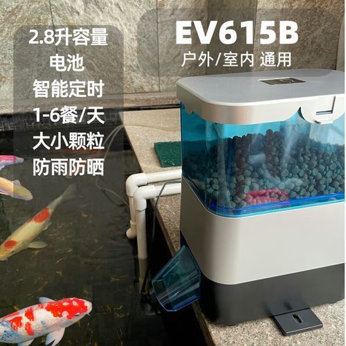 主角養龍魚有哪些系統輔助,主角養龍魚系統輔助 龍魚百科 第3張 主角養龍魚有哪些系統輔助,主角養龍魚系統輔助 主角養龍魚有哪些系統輔助,主角養龍魚系統輔助 龍魚百科 第3張