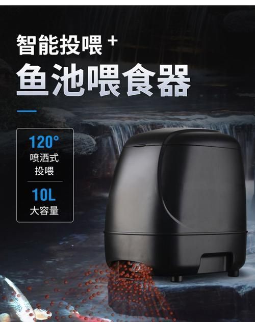 主角養龍魚有哪些系統輔助,主角養龍魚系統輔助 龍魚百科 第5張 主角養龍魚有哪些系統輔助,主角養龍魚系統輔助 主角養龍魚有哪些系統輔助,主角養龍魚系統輔助 龍魚百科 第5張