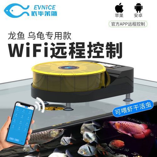 主角養龍魚有哪些系統輔助,主角養龍魚系統輔助 龍魚百科 第1張 主角養龍魚有哪些系統輔助,主角養龍魚系統輔助 主角養龍魚有哪些系統輔助,主角養龍魚系統輔助 龍魚百科 第1張