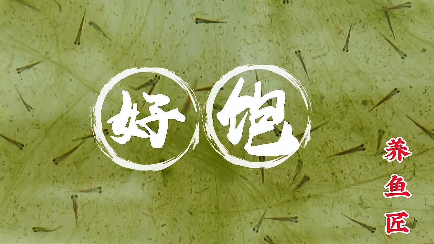 如何判斷小魚(yú)是否吃飽了，小魚(yú)是否吃飽了是養(yǎng)魚(yú)愛(ài)好者經(jīng)常遇到的問(wèn)題 如何判斷小魚(yú)是否吃飽了，小魚(yú)是否吃飽了是養(yǎng)魚(yú)愛(ài)好者經(jīng)常遇到的問(wèn)題 龍魚(yú)百科