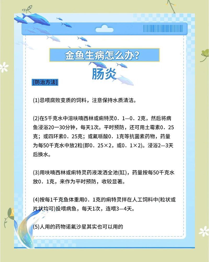 有哪些藥物可以預防魚腸炎，魚類腸炎的預防用藥清單 有哪些藥物可以預防魚腸炎，魚類腸炎的預防用藥清單 龍魚百科 第1張