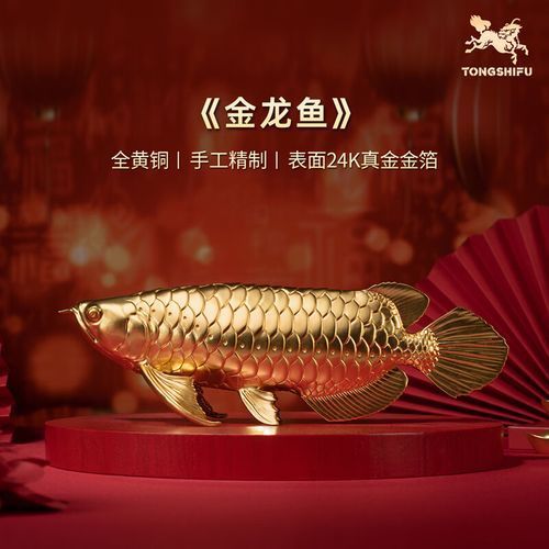 龍頭魚身擺件有哪些材質(zhì)選擇，常見的龍頭魚身擺件材質(zhì)選擇多樣，可以根據(jù)個人喜好和需求進(jìn)行挑選 龍頭魚身擺件有哪些材質(zhì)選擇，常見的龍頭魚身擺件材質(zhì)選擇多樣，可以根據(jù)個人喜好和需求進(jìn)行挑選 龍魚百科 第1張