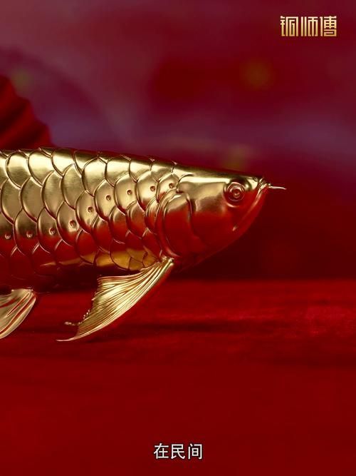 龍頭魚身擺件有哪些材質(zhì)選擇，常見的龍頭魚身擺件材質(zhì)選擇多樣，可以根據(jù)個人喜好和需求進(jìn)行挑選 龍頭魚身擺件有哪些材質(zhì)選擇，常見的龍頭魚身擺件材質(zhì)選擇多樣，可以根據(jù)個人喜好和需求進(jìn)行挑選 龍魚百科 第6張