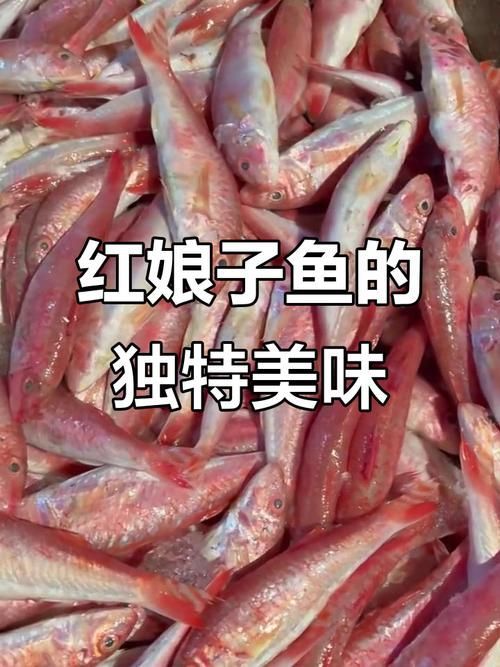 紅頭利魚,“紅頭利魚(如紅頭利魚(如紅頭利魚”的標(biāo)準(zhǔn)物種詳解 龍魚百科 第6張 紅頭利魚,“紅頭利魚(如紅頭利魚(如紅頭利魚”的標(biāo)準(zhǔn)物種詳解 紅頭利魚,“紅頭利魚(如紅頭利魚(如紅頭利魚”的標(biāo)準(zhǔn)物種詳解 龍魚百科 第6張