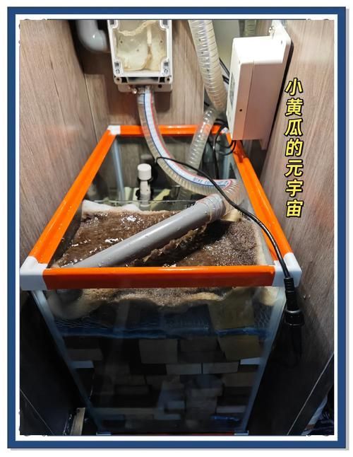 如何改善六角龍魚的水質，六角龍魚水質改善詳解 如何改善六角龍魚的水質，六角龍魚水質改善詳解 龍魚百科 第1張
