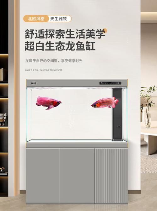 有哪些性價(jià)比高的龍魚缸型號(hào)推薦？，市場(chǎng)上評(píng)價(jià)較高的龍魚缸型號(hào) 有哪些性價(jià)比高的龍魚缸型號(hào)推薦？，市場(chǎng)上評(píng)價(jià)較高的龍魚缸型號(hào) 龍魚百科 第18張
