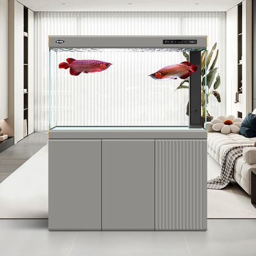 有哪些性價(jià)比高的龍魚缸型號(hào)推薦？，市場(chǎng)上評(píng)價(jià)較高的龍魚缸型號(hào) 有哪些性價(jià)比高的龍魚缸型號(hào)推薦？，市場(chǎng)上評(píng)價(jià)較高的龍魚缸型號(hào) 龍魚百科 第16張