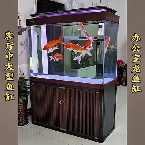 有哪些性價(jià)比高的龍魚缸型號(hào)推薦？，市場(chǎng)上評(píng)價(jià)較高的龍魚缸型號(hào) 有哪些性價(jià)比高的龍魚缸型號(hào)推薦？，市場(chǎng)上評(píng)價(jià)較高的龍魚缸型號(hào) 龍魚百科 第6張