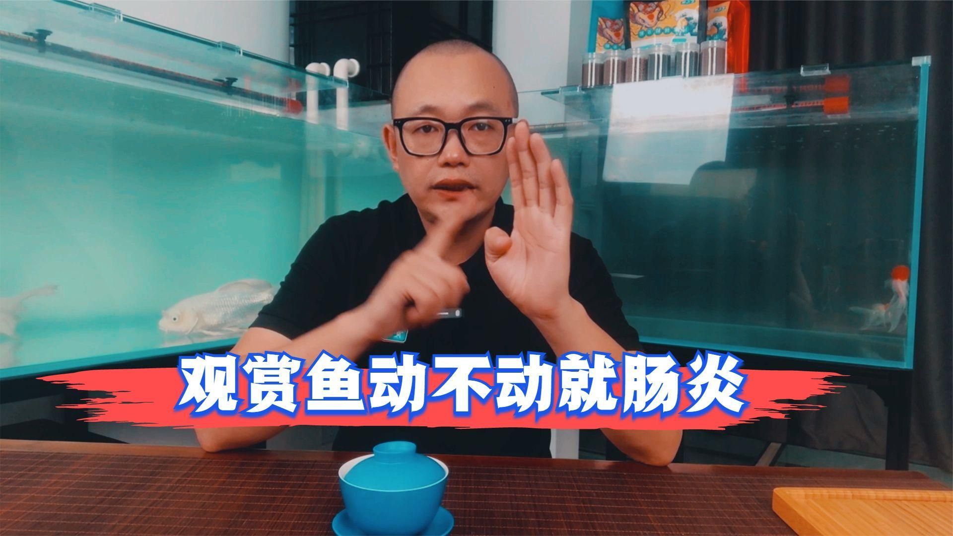 如何判斷魚腸炎是否嚴(yán)重，錦鯉腸炎和內(nèi)寄分不出來(lái)場(chǎng)長(zhǎng)教你分辨腸炎和內(nèi)寄的兩個(gè)關(guān)鍵點(diǎn) 如何判斷魚腸炎是否嚴(yán)重，錦鯉腸炎和內(nèi)寄分不出來(lái)場(chǎng)長(zhǎng)教你分辨腸炎和內(nèi)寄的兩個(gè)關(guān)鍵點(diǎn) 龍魚百科 第1張