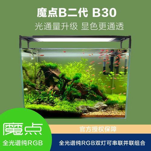 60厘米魚缸有哪些推薦配置，0厘米的水族箱怎么選？ 60厘米魚缸有哪些推薦配置，0厘米的水族箱怎么選？ 龍魚百科 第9張