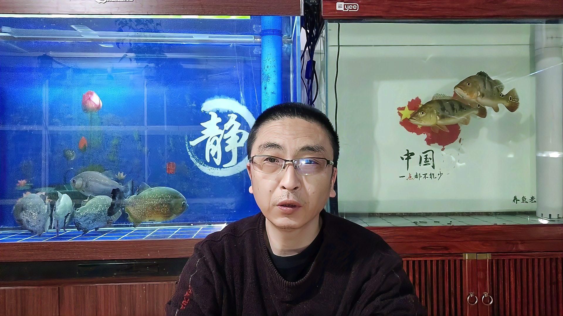 如何判斷觀賞魚是否健康？，如何判斷觀賞魚是否健康 如何判斷觀賞魚是否健康？，如何判斷觀賞魚是否健康 龍魚百科 第2張