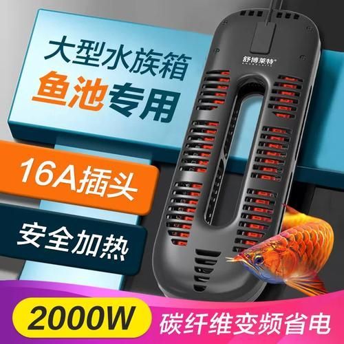 如何維持大湖紅龍水溫穩(wěn)定，大湖紅龍水溫穩(wěn)定對(duì)水溫穩(wěn)定對(duì)于養(yǎng)殖成功至關(guān)重要措施 如何維持大湖紅龍水溫穩(wěn)定，大湖紅龍水溫穩(wěn)定對(duì)水溫穩(wěn)定對(duì)于養(yǎng)殖成功至關(guān)重要措施 龍魚百科 第4張