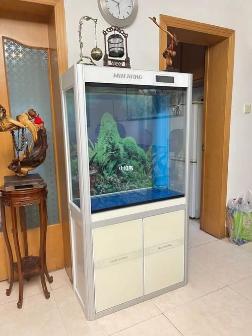 可麗愛和閩江哪個更值得購買?,可麗愛vs可麗愛vs“閩江”兩個品牌的使用評價與對比心得 龍魚百科 第9張 可麗愛和閩江哪個更值得購買?,可麗愛vs可麗愛vs“閩江”兩個品牌的使用評價與對比心得 可麗愛和閩江哪個更值得購買?,可麗愛vs可麗愛vs“閩江”兩個品牌的使用評價與對比心得 龍魚百科 第9張