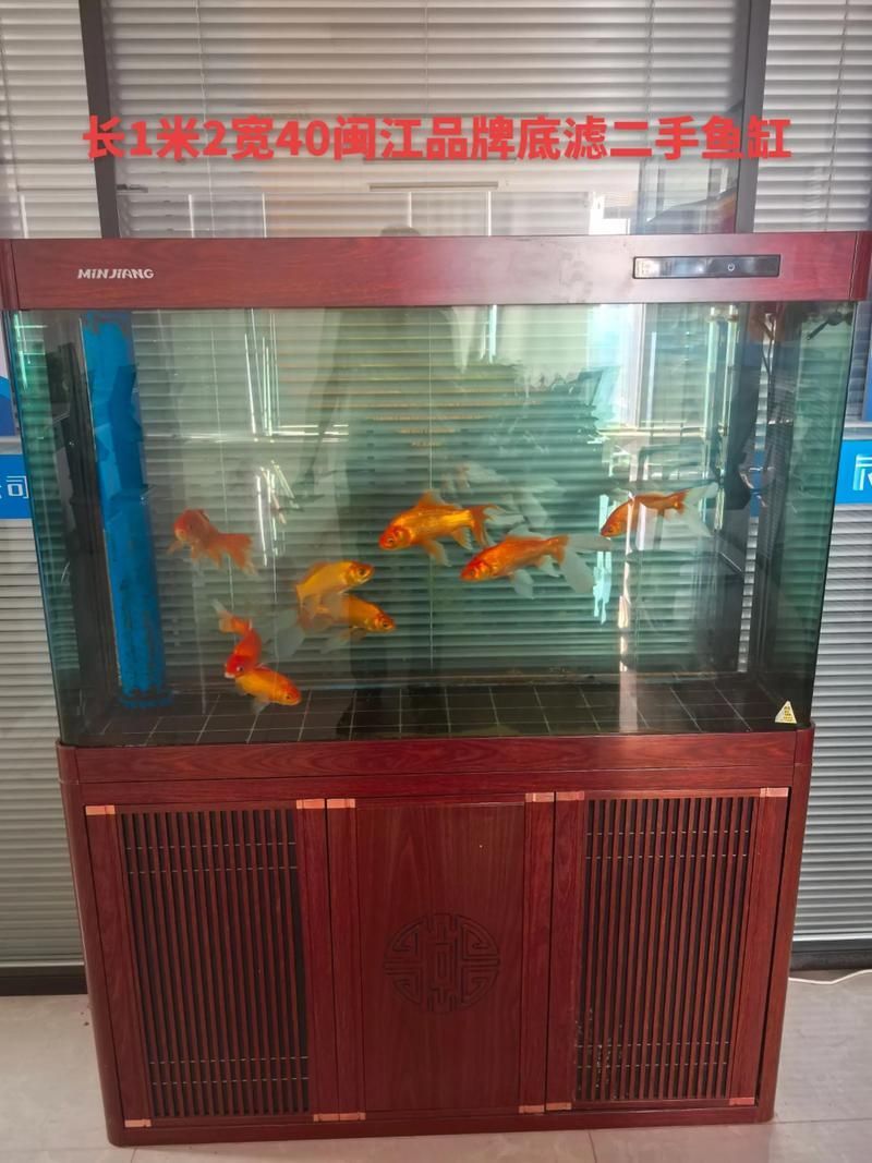 可麗愛和閩江哪個更值得購買?,可麗愛vs可麗愛vs“閩江”兩個品牌的使用評價與對比心得 龍魚百科 第8張 可麗愛和閩江哪個更值得購買?,可麗愛vs可麗愛vs“閩江”兩個品牌的使用評價與對比心得 可麗愛和閩江哪個更值得購買?,可麗愛vs可麗愛vs“閩江”兩個品牌的使用評價與對比心得 龍魚百科 第8張