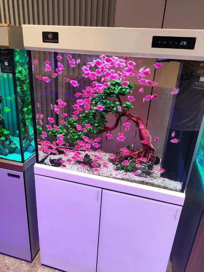 可麗愛和閩江哪個更值得購買?,可麗愛vs可麗愛vs“閩江”兩個品牌的使用評價與對比心得 龍魚百科 第6張 可麗愛和閩江哪個更值得購買?,可麗愛vs可麗愛vs“閩江”兩個品牌的使用評價與對比心得 可麗愛和閩江哪個更值得購買?,可麗愛vs可麗愛vs“閩江”兩個品牌的使用評價與對比心得 龍魚百科 第6張