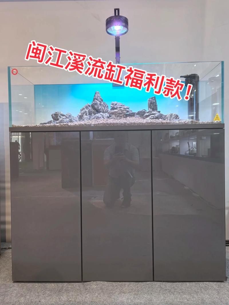 可麗愛和閩江哪個更值得購買?,可麗愛vs可麗愛vs“閩江”兩個品牌的使用評價與對比心得 龍魚百科 第12張 可麗愛和閩江哪個更值得購買?,可麗愛vs可麗愛vs“閩江”兩個品牌的使用評價與對比心得 可麗愛和閩江哪個更值得購買?,可麗愛vs可麗愛vs“閩江”兩個品牌的使用評價與對比心得 龍魚百科 第12張