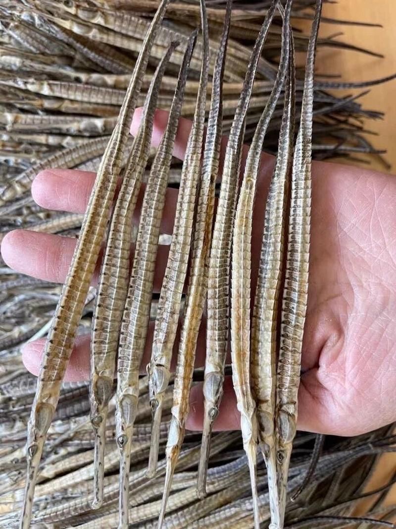 給我一些真正海龍的圖片示例，25公分古典過背藍底金龍魚的價格范圍是多少