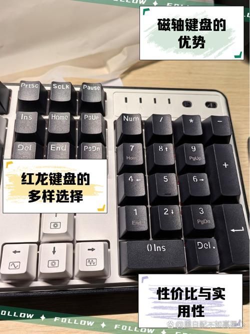 紅龍10大品牌中哪個最知名，紅龍品牌在10大知名汽車品牌中占據重要地位 紅龍10大品牌中哪個最知名，紅龍品牌在10大知名汽車品牌中占據重要地位 龍魚百科 第3張
