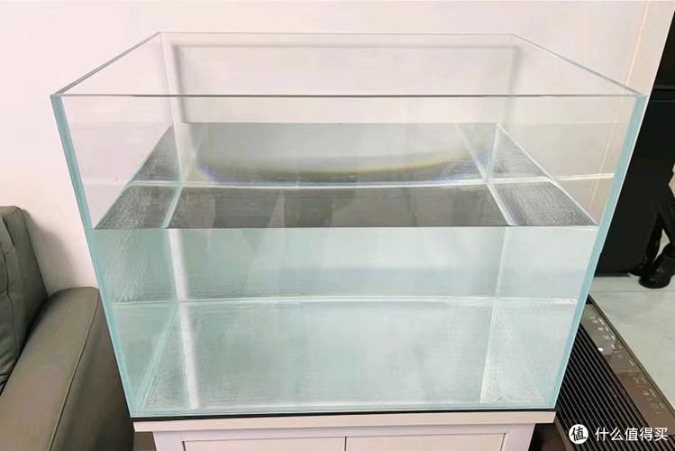 還有哪些魚缸品牌值得推薦，哪些品牌的魚缸值得推薦？ 還有哪些魚缸品牌值得推薦，哪些品牌的魚缸值得推薦？ 龍魚百科 第19張