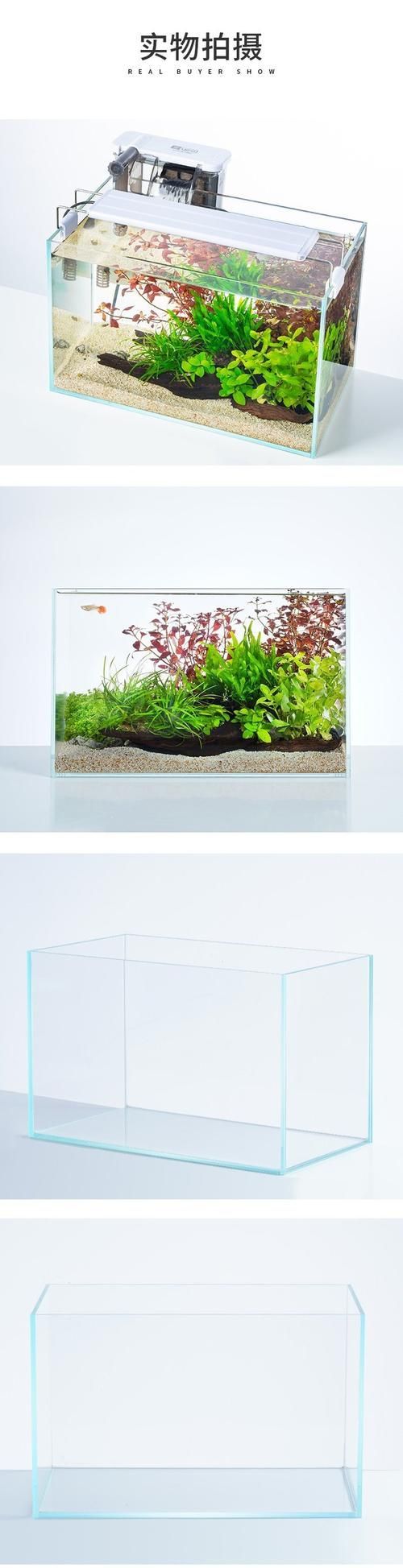 還有哪些魚缸品牌值得推薦，哪些品牌的魚缸值得推薦？ 還有哪些魚缸品牌值得推薦，哪些品牌的魚缸值得推薦？ 龍魚百科 第17張