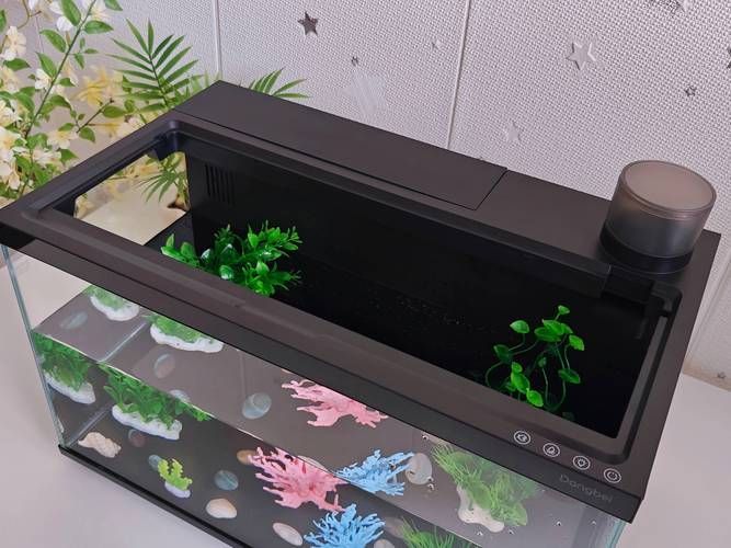 還有哪些魚缸品牌值得推薦，哪些品牌的魚缸值得推薦？ 還有哪些魚缸品牌值得推薦，哪些品牌的魚缸值得推薦？ 龍魚百科 第11張