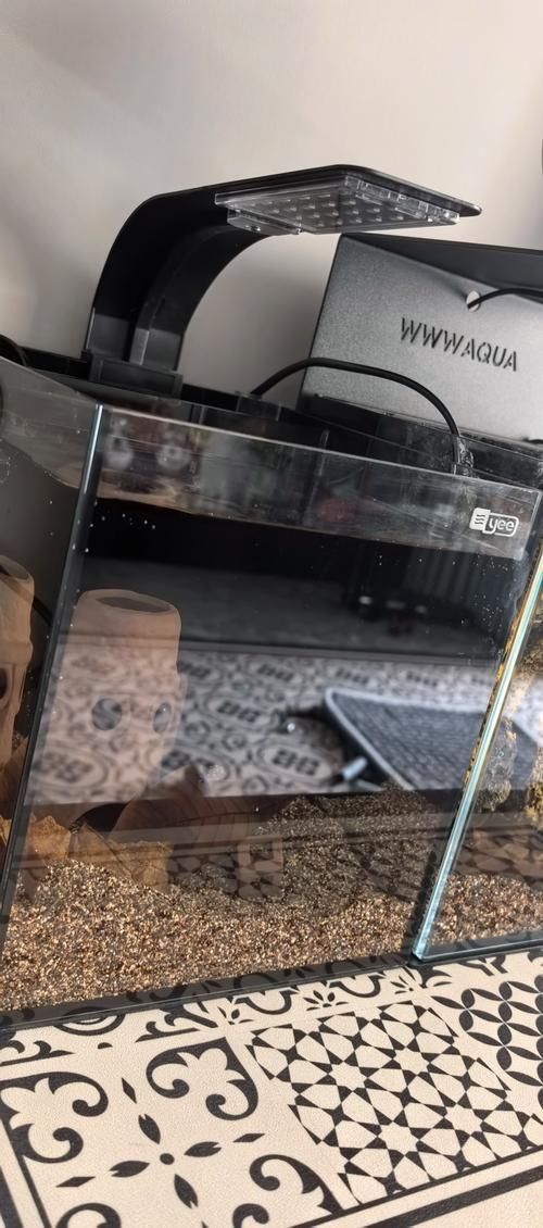 還有哪些魚缸品牌值得推薦，哪些品牌的魚缸值得推薦？ 還有哪些魚缸品牌值得推薦，哪些品牌的魚缸值得推薦？ 龍魚百科 第16張
