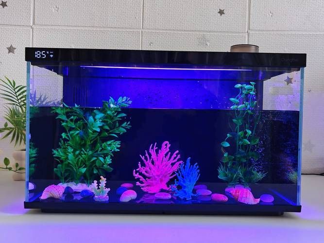 還有哪些魚缸品牌值得推薦，哪些品牌的魚缸值得推薦？ 還有哪些魚缸品牌值得推薦，哪些品牌的魚缸值得推薦？ 龍魚百科 第10張