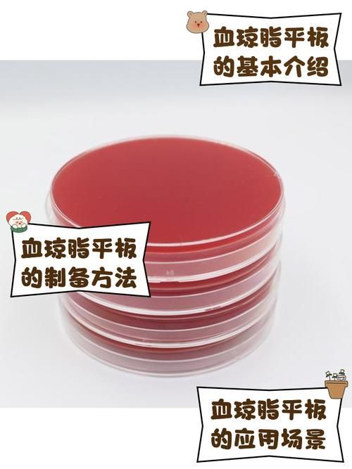 點狀氣單胞菌有哪些主要形態特征，性狀氣單胞菌（aeromonaspunctata） 點狀氣單胞菌有哪些主要形態特征，性狀氣單胞菌（aeromonaspunctata） 龍魚百科 第7張