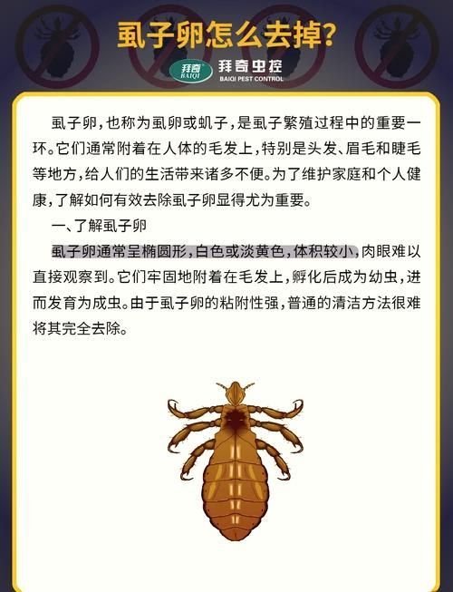 能否提供魚虱繁殖過程的詳細步驟圖，關于魚虱繁殖過程的詳細步驟圖描述：魚虱的繁殖過程 能否提供魚虱繁殖過程的詳細步驟圖，關于魚虱繁殖過程的詳細步驟圖描述：魚虱的繁殖過程 龍魚百科 第3張
