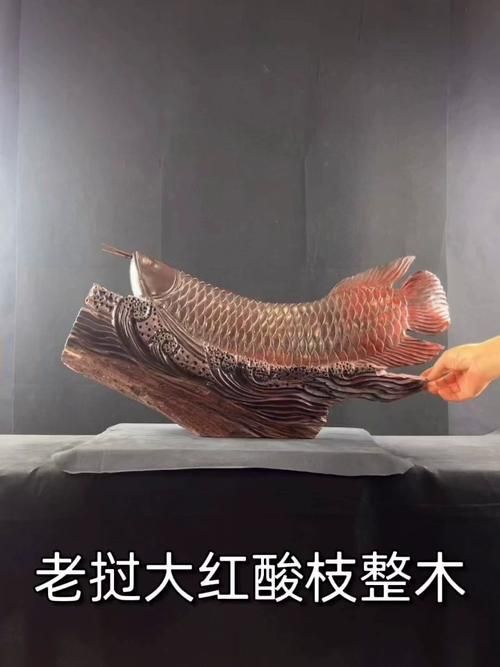 有哪些著名的金龍魚木雕作品，地堅硬且自帶幽香的金龍魚木雕作品：金龍魚木雕作品 有哪些著名的金龍魚木雕作品，地堅硬且自帶幽香的金龍魚木雕作品：金龍魚木雕作品 龍魚百科 第5張