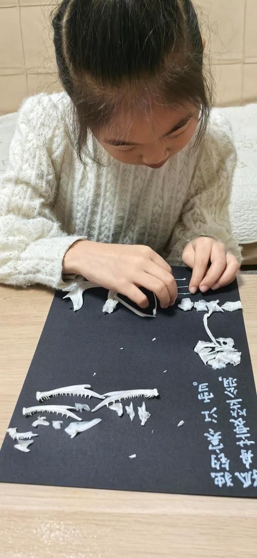 如何制作魚骨紀念品,如何制作魚骨紀念品制作魚骨紀念品的制作步驟和制作流程 龍魚百科 第4張 如何制作魚骨紀念品,如何制作魚骨紀念品制作魚骨紀念品的制作步驟和制作流程 如何制作魚骨紀念品,如何制作魚骨紀念品制作魚骨紀念品的制作步驟和制作流程 龍魚百科 第4張