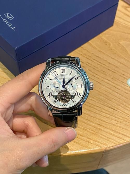 這兩個品牌哪個更高端?,海鷗與“海鷗”與“精工”兩個手表品牌哪個更高端 龍魚百科 第5張 這兩個品牌哪個更高端?,海鷗與“海鷗”與“精工”兩個手表品牌哪個更高端 這兩個品牌哪個更高端?,海鷗與“海鷗”與“精工”兩個手表品牌哪個更高端 龍魚百科 第5張
