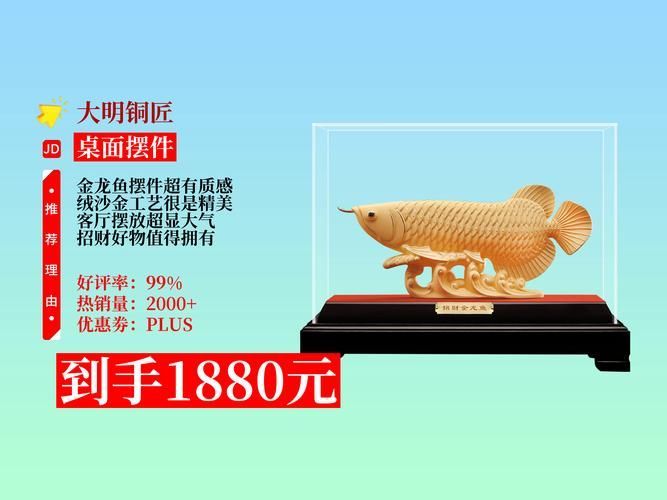推薦幾款流行的龍頭魚(yú)擺件，幾款龍頭魚(yú)擺件推薦 推薦幾款流行的龍頭魚(yú)擺件，幾款龍頭魚(yú)擺件推薦 龍魚(yú)百科 第8張
