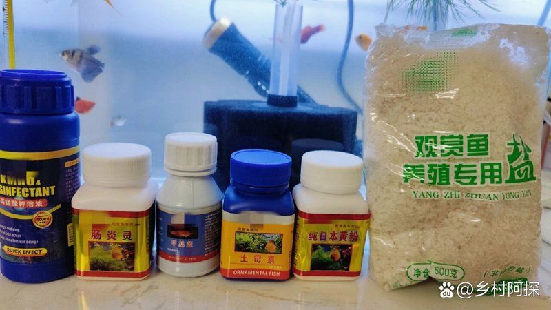 細菌性魚病用藥后多久見效，養魚必備的三種藥物