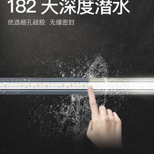 吉印水族有哪些熱門產品？，吉印水族水族熱門產品 吉印水族有哪些熱門產品？，吉印水族水族熱門產品 龍魚百科 第5張