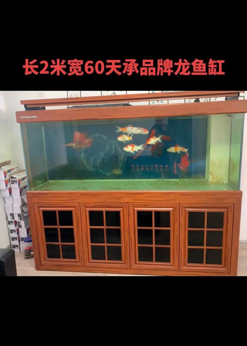 標準龍魚缸尺寸有哪些推薦?,養龍魚,魚缸尺寸是決定其健康與品相關的關鍵因素 龍魚百科 第3張 標準龍魚缸尺寸有哪些推薦?,養龍魚,魚缸尺寸是決定其健康與品相關的關鍵因素 標準龍魚缸尺寸有哪些推薦?,養龍魚,魚缸尺寸是決定其健康與品相關的關鍵因素 龍魚百科 第3張