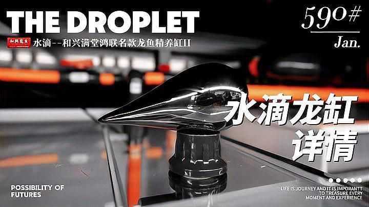 龍魚缸十大名牌排行榜最新版，龍魚缸十大名牌排行榜 龍魚缸十大名牌排行榜最新版，龍魚缸十大名牌排行榜 龍魚百科 第2張