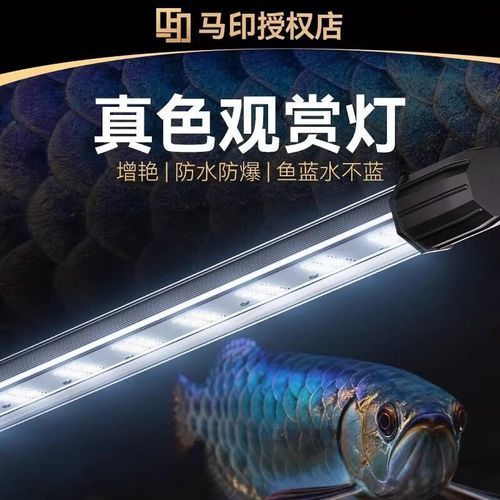 哪個品牌的龍魚燈用戶評價最好，用戶評價最好的龍魚燈品牌有哪些？