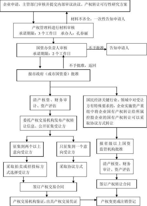 國資拍賣流程是怎樣的，國資拍賣全流程詳解 國資拍賣流程是怎樣的，國資拍賣全流程詳解 龍魚百科 第5張