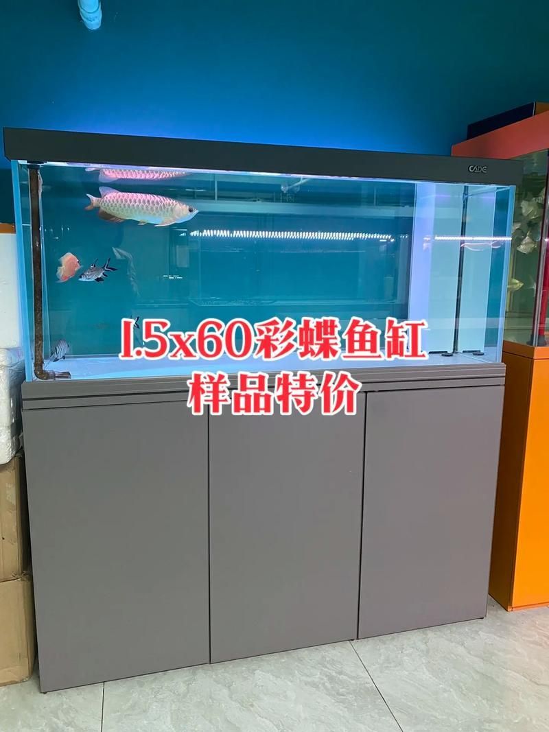 祥龍魚場提供哪些龍魚魚缸？，“彩蝶魚缸”系列為祥龍品牌下主打的高端魚缸產(chǎn)品線 祥龍魚場提供哪些龍魚魚缸？，“彩蝶魚缸”系列為祥龍品牌下主打的高端魚缸產(chǎn)品線 龍魚百科 第4張
