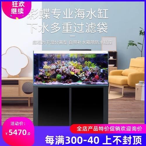 彩鰈、久鼎、水獵人、閩江、森森哪個品牌最好?,彩鰈、久鼎、水獵人、閩江、森森五大品牌哪家最強 龍魚百科 第5張 彩鰈、久鼎、水獵人、閩江、森森哪個品牌最好?,彩鰈、久鼎、水獵人、閩江、森森五大品牌哪家最強 彩鰈、久鼎、水獵人、閩江、森森哪個品牌最好?,彩鰈、久鼎、水獵人、閩江、森森五大品牌哪家最強 龍魚百科 第5張